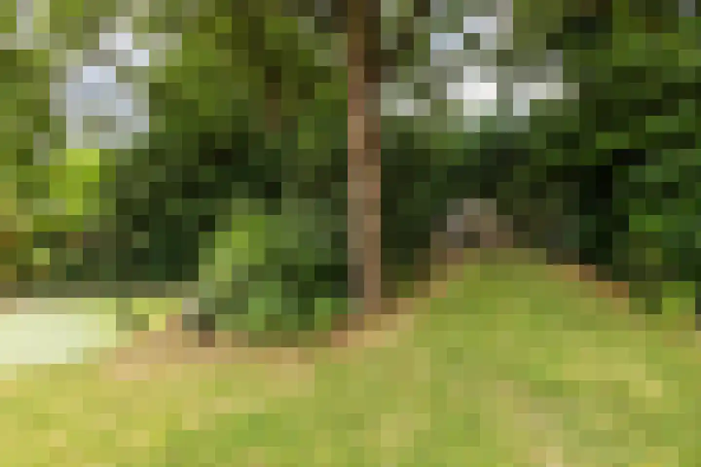 Erfsebosweg 12 Heijen thumbnail 12