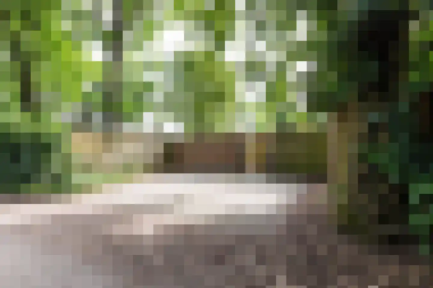 Erfsebosweg 12 Heijen thumbnail 14