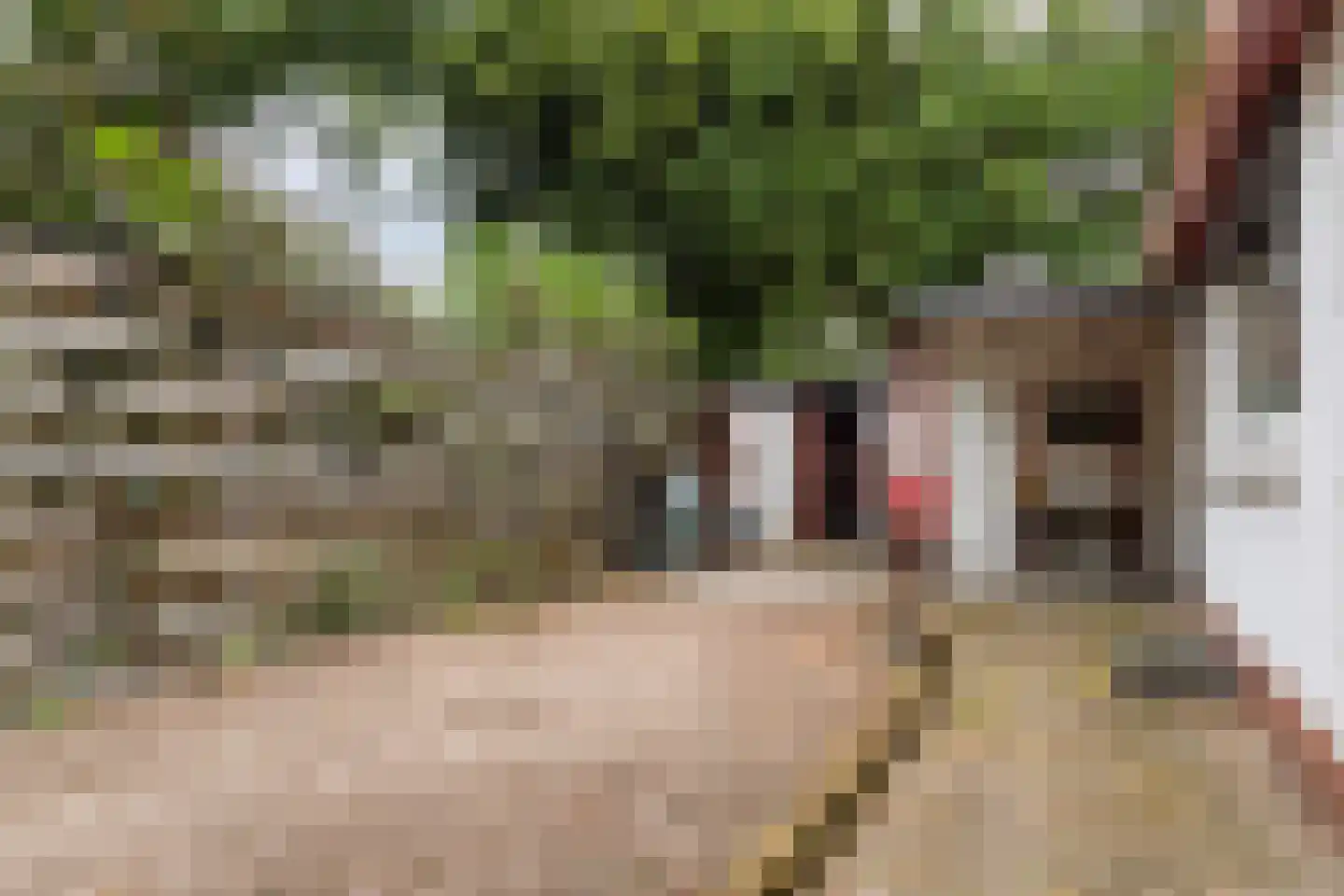 Erfsebosweg 12 Heijen thumbnail 17