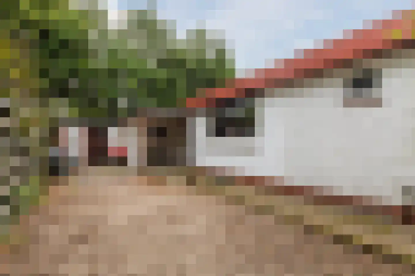 Erfsebosweg 12 Heijen thumbnail 18