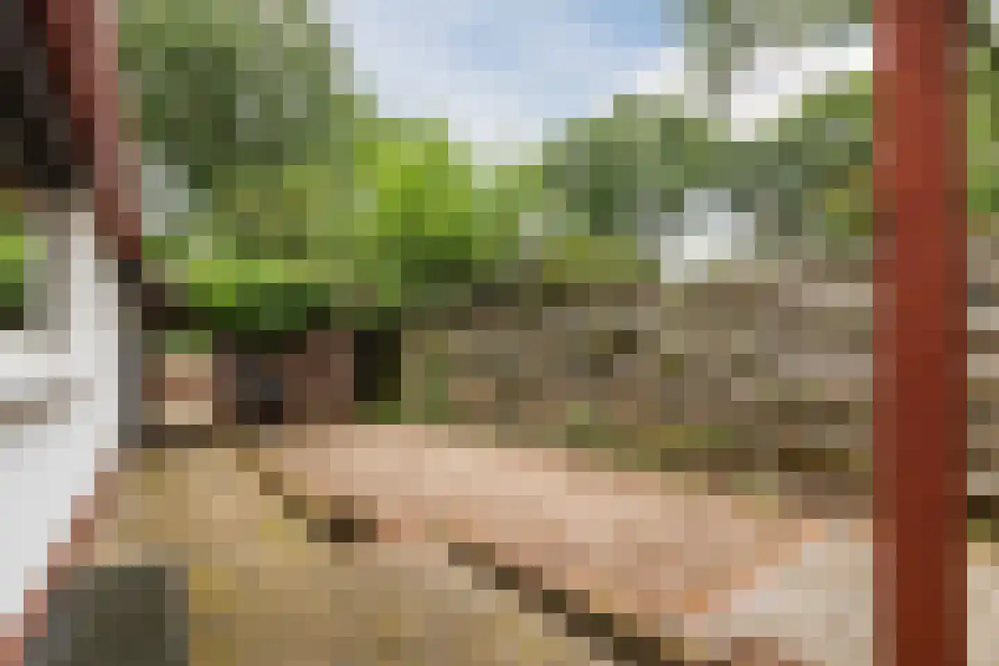 Erfsebosweg 12 Heijen thumbnail 21