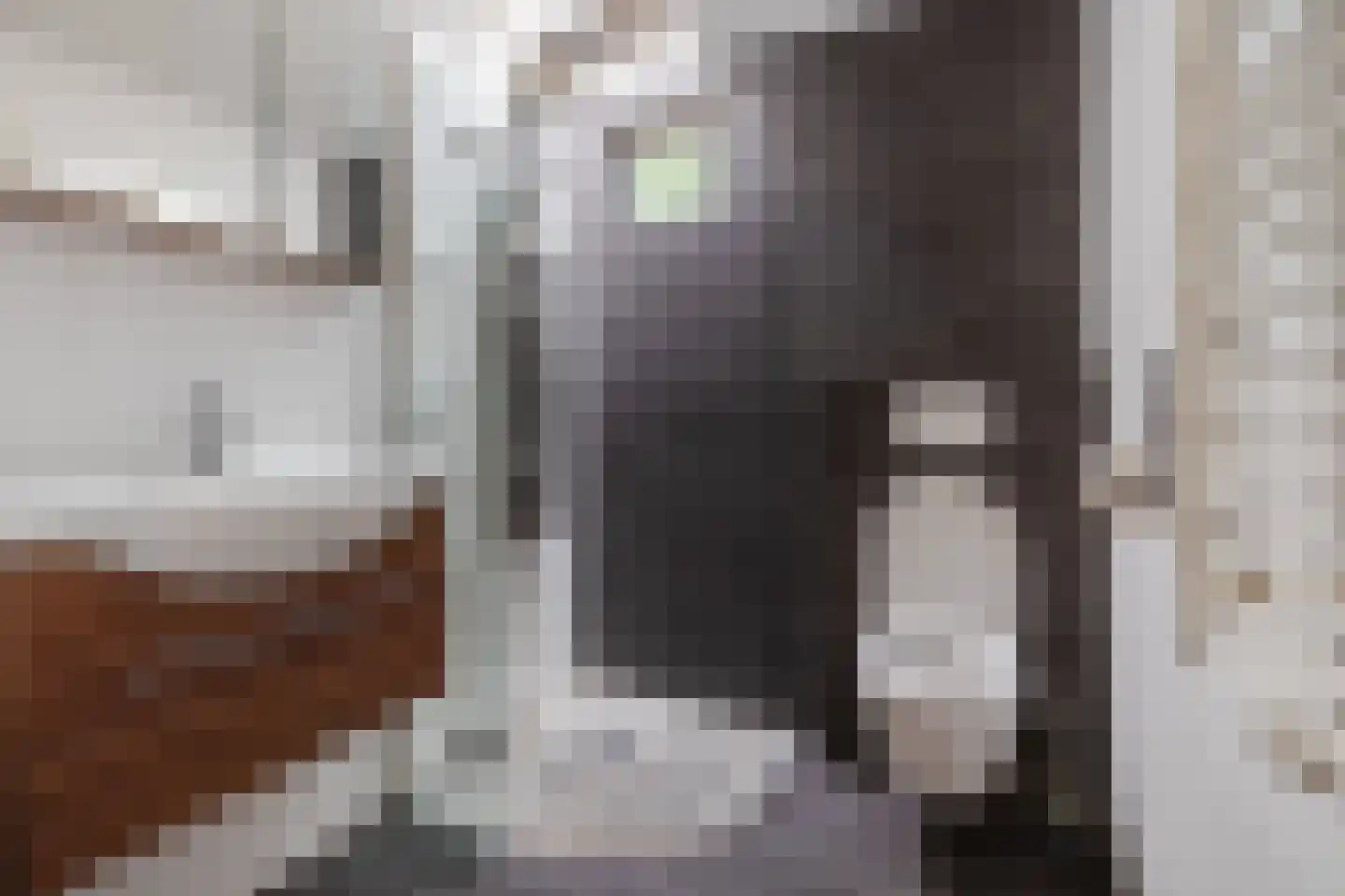 Erfsebosweg 12 Heijen thumbnail 42
