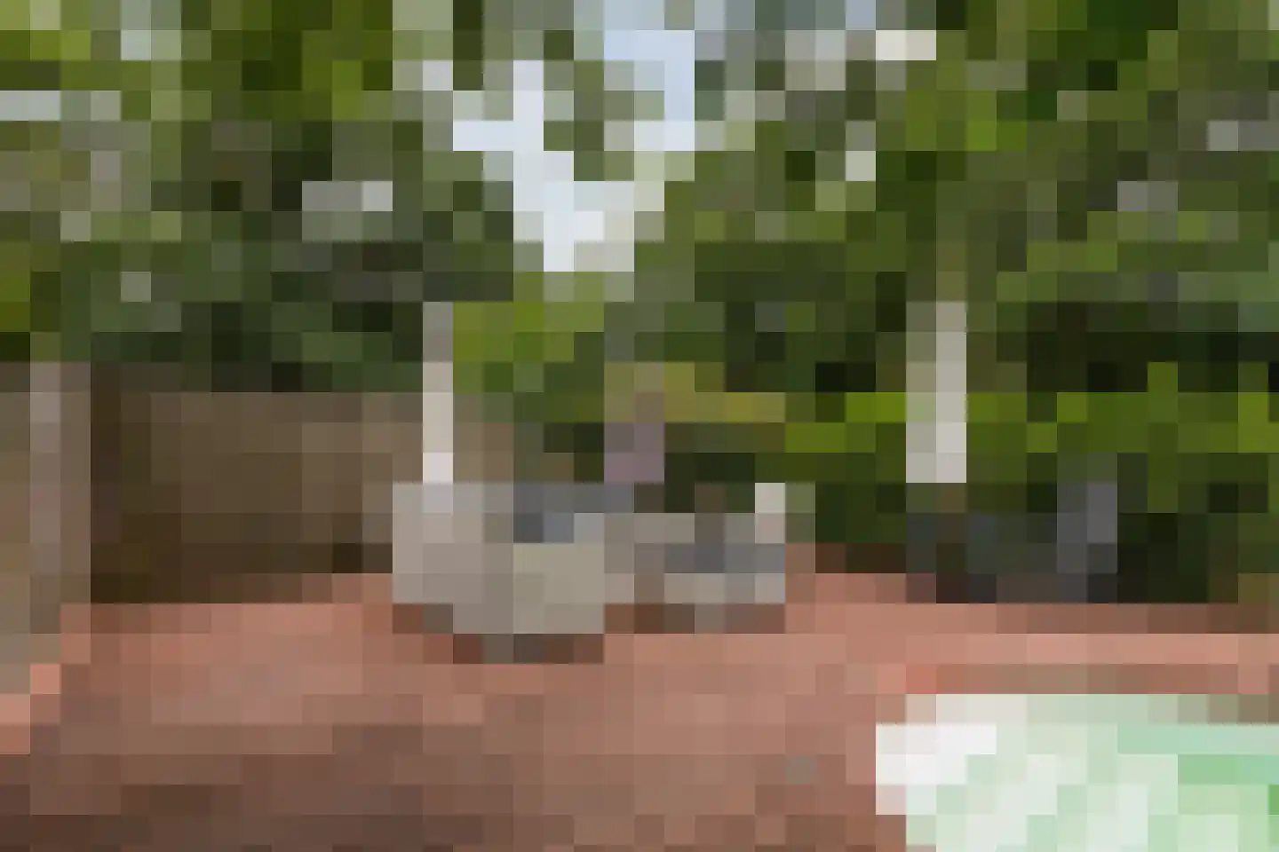 Erfsebosweg 12 Heijen thumbnail 52