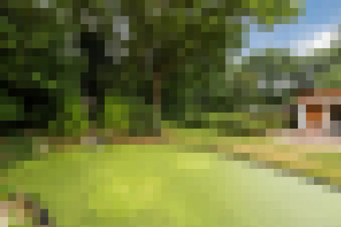 Erfsebosweg 12 Heijen thumbnail 60