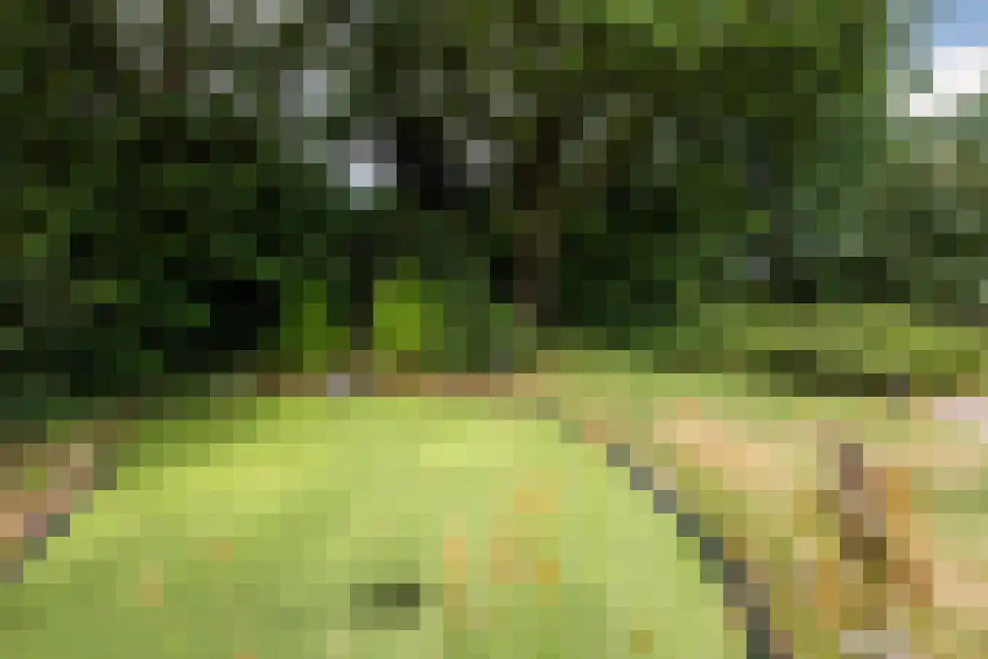 Erfsebosweg 12 Heijen thumbnail 61