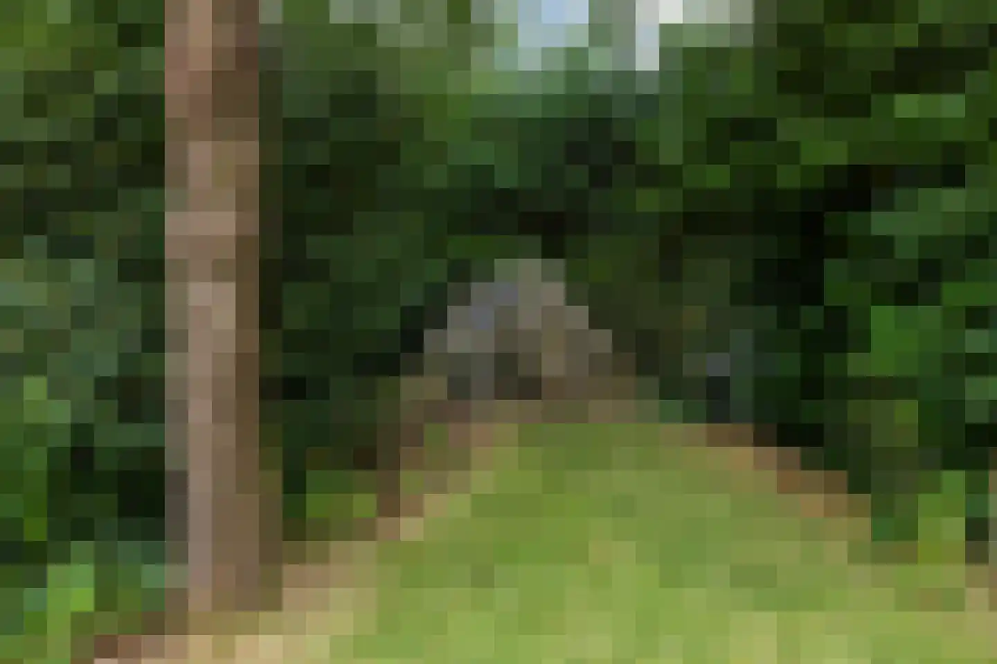Erfsebosweg 12 Heijen thumbnail 62