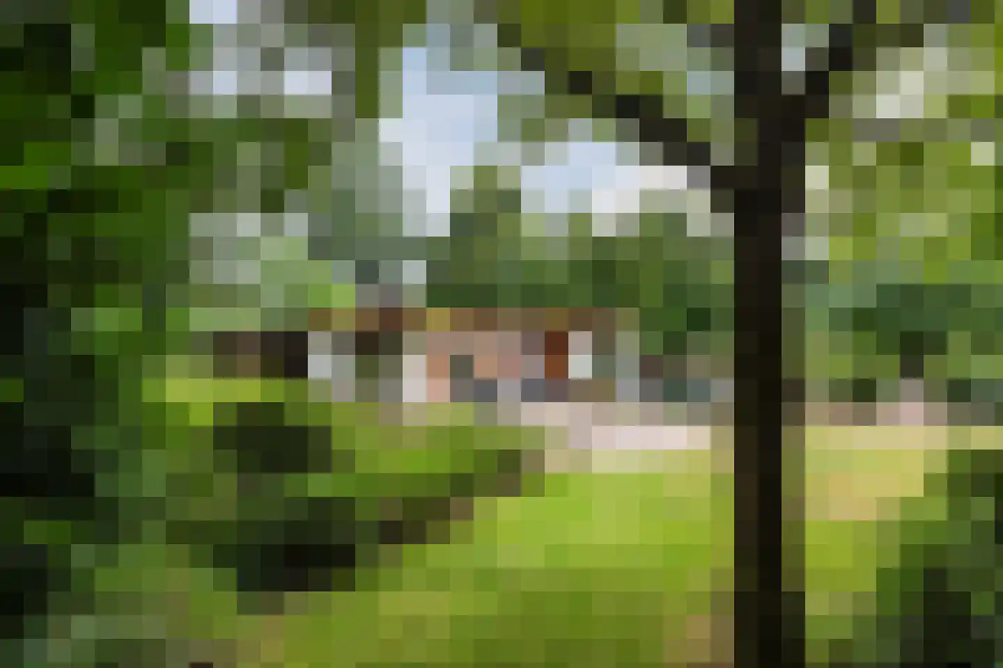 Erfsebosweg 12 Heijen thumbnail 65