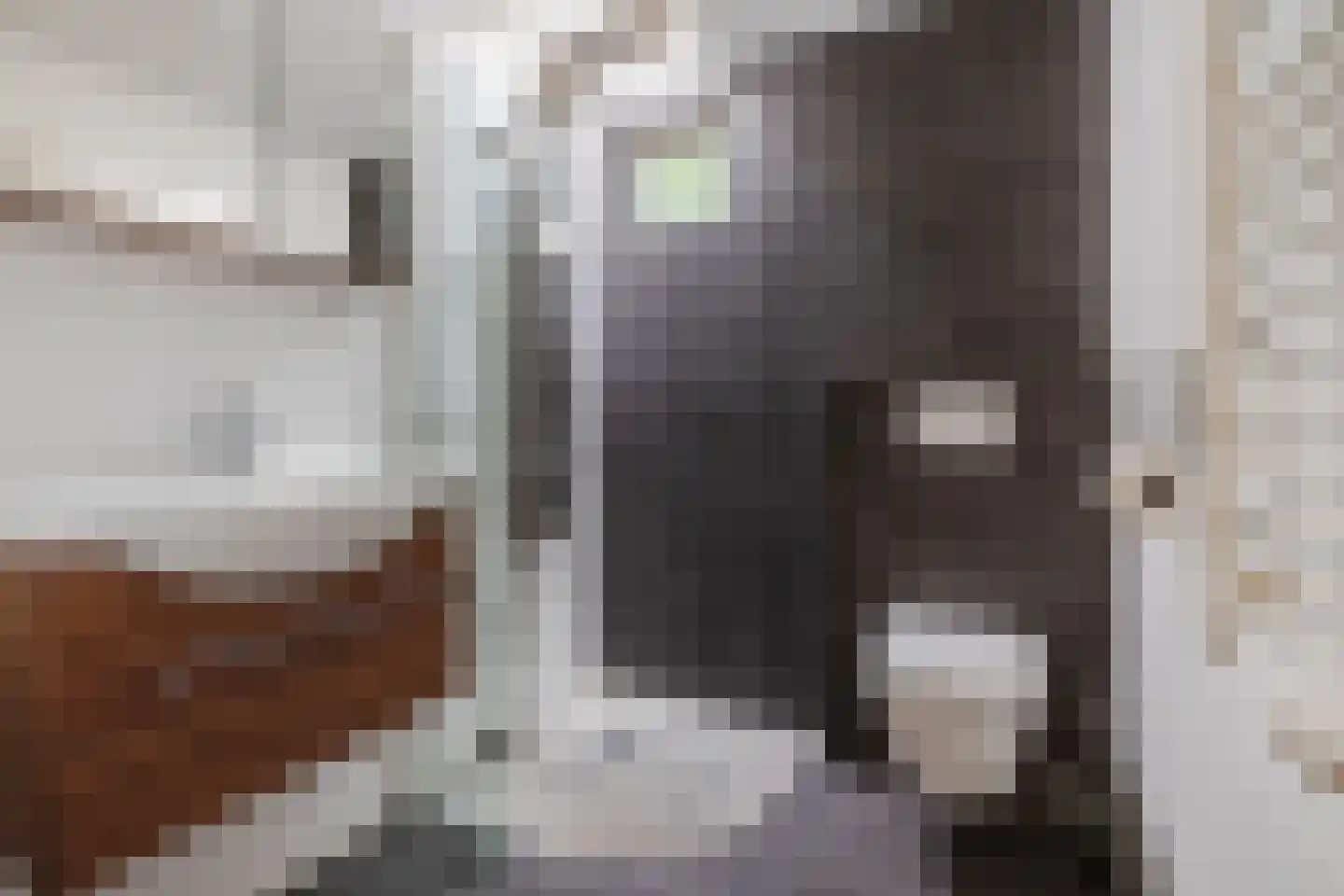 Erfsebosweg 12 Heijen thumbnail 8