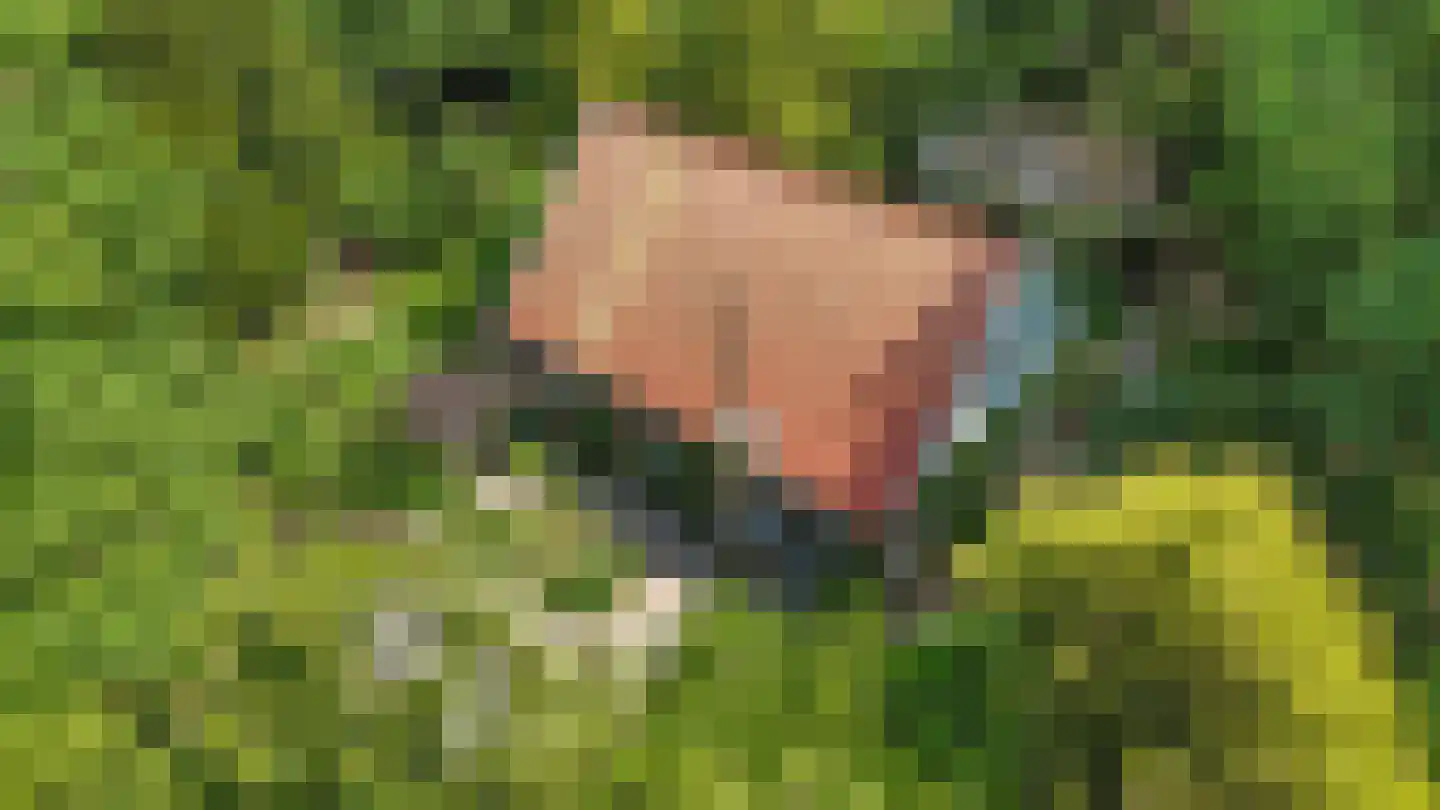 Erfsebosweg 15 Heijen