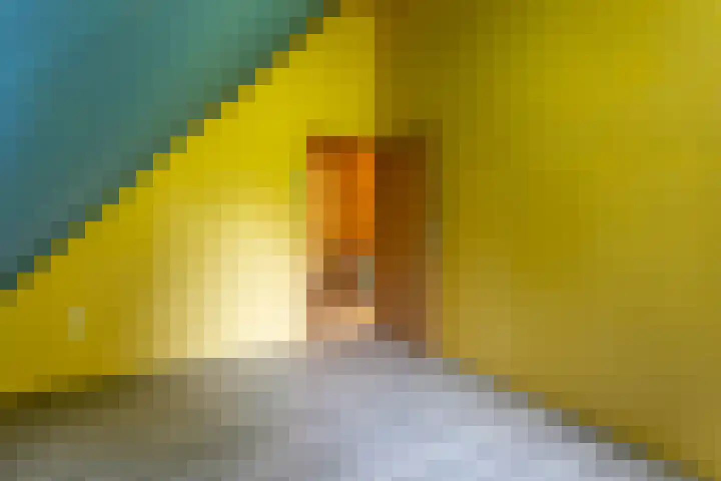Erfsebosweg 15 Heijen thumbnail 24