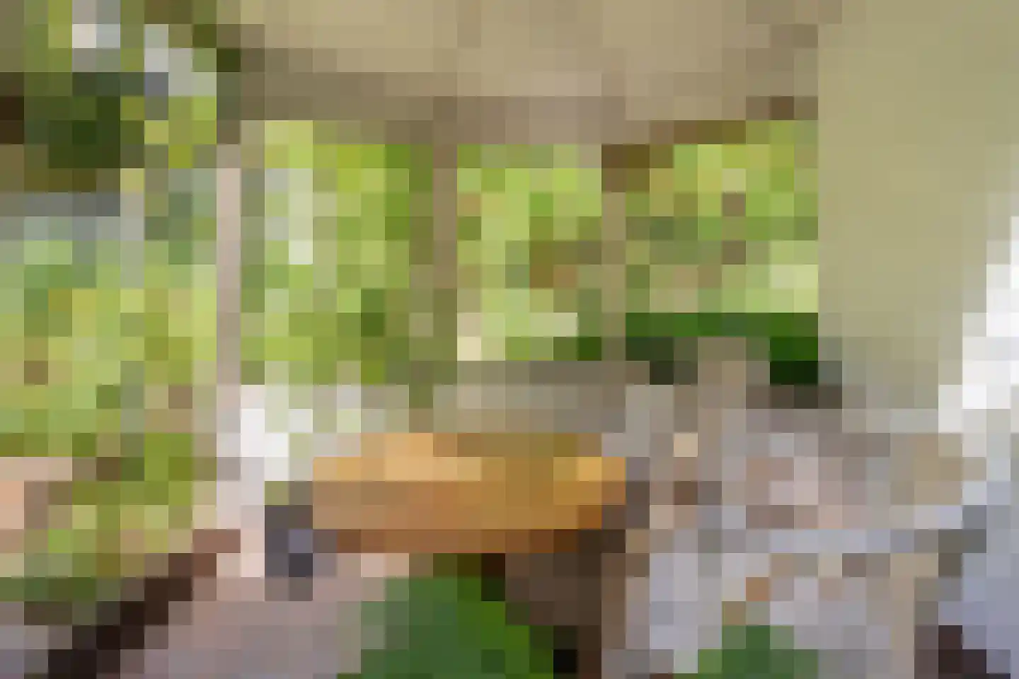 Erfsebosweg 15 Heijen thumbnail 26