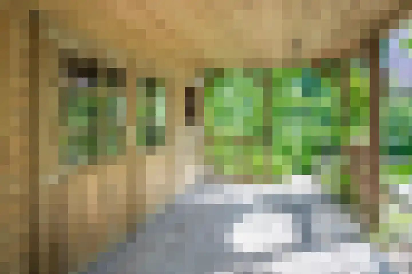 Erfsebosweg 15 Heijen thumbnail 27