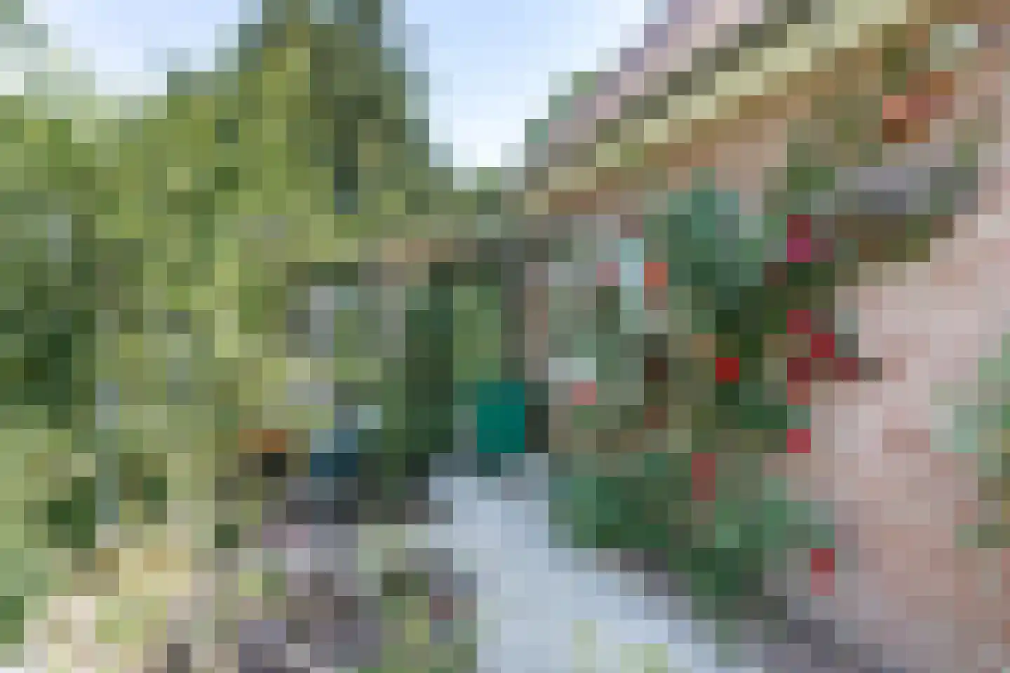 Erfsebosweg 15 Heijen thumbnail 28