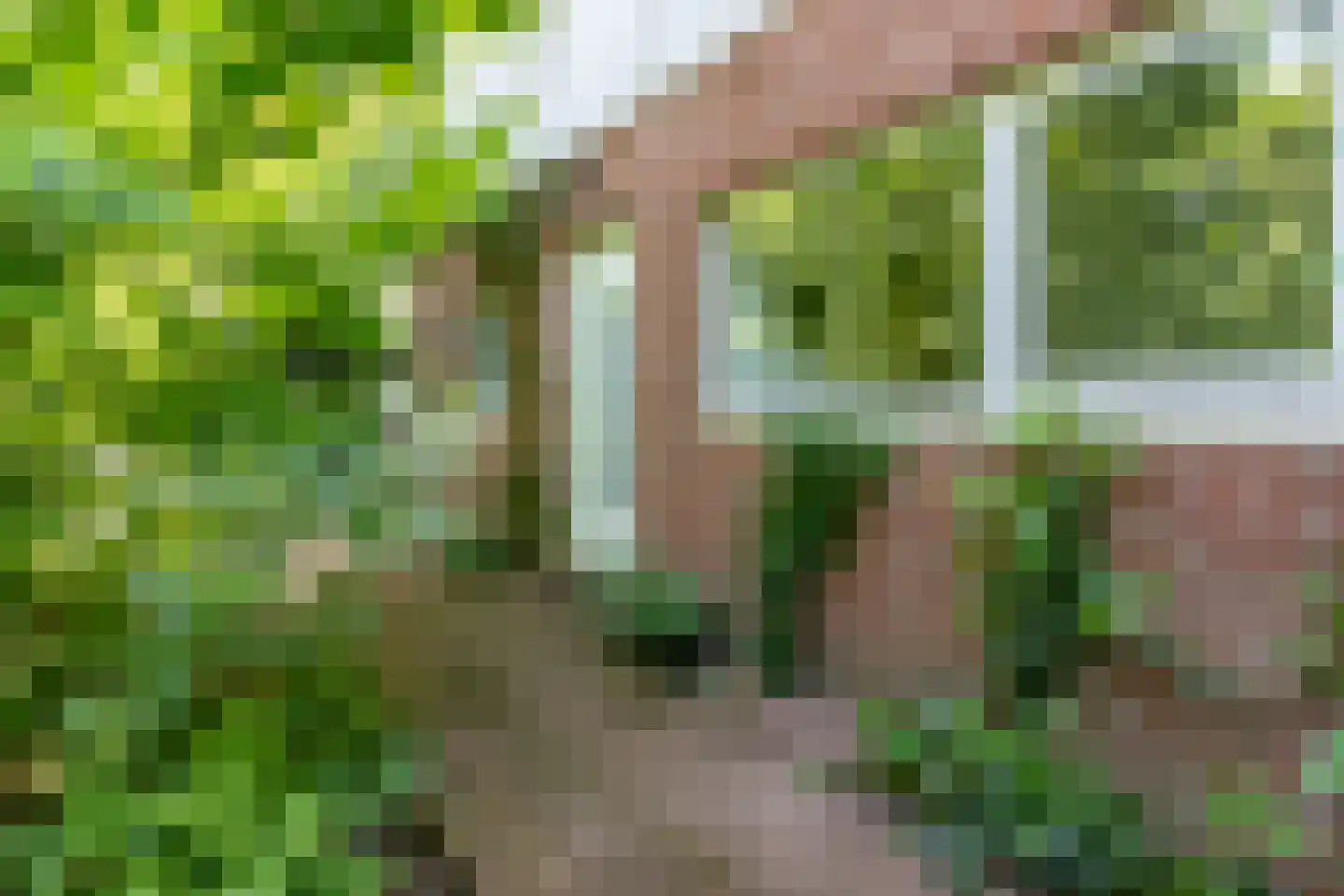 Erfsebosweg 15 Heijen thumbnail 29