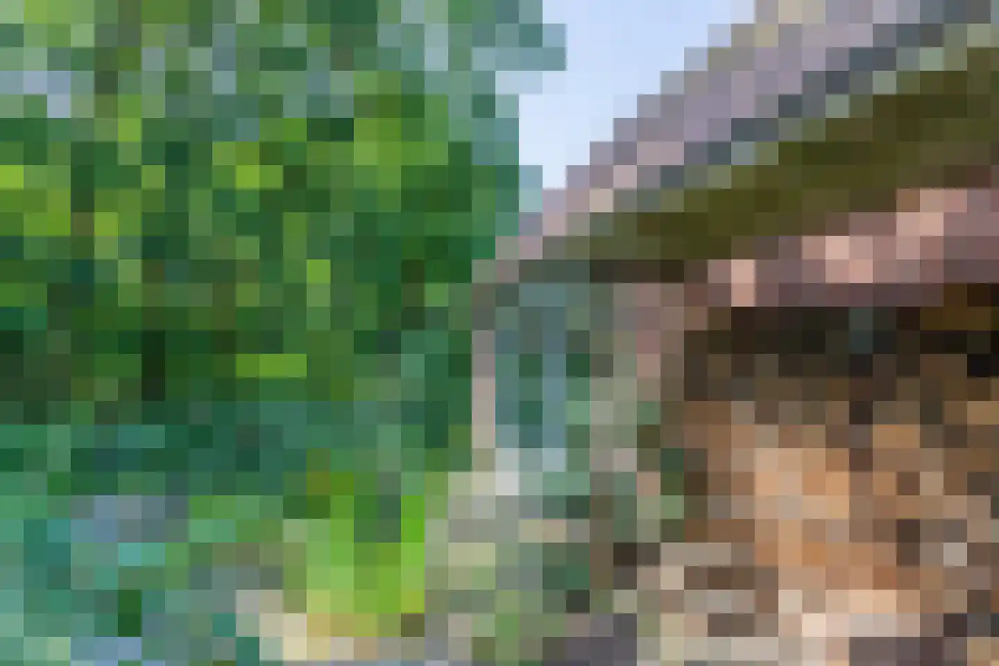 Erfsebosweg 15 Heijen thumbnail 31