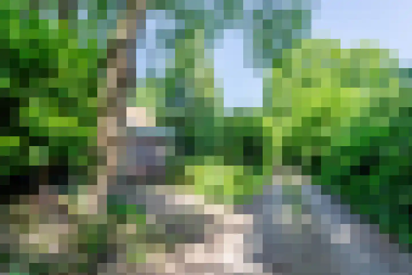 Erfsebosweg 15 Heijen thumbnail 34