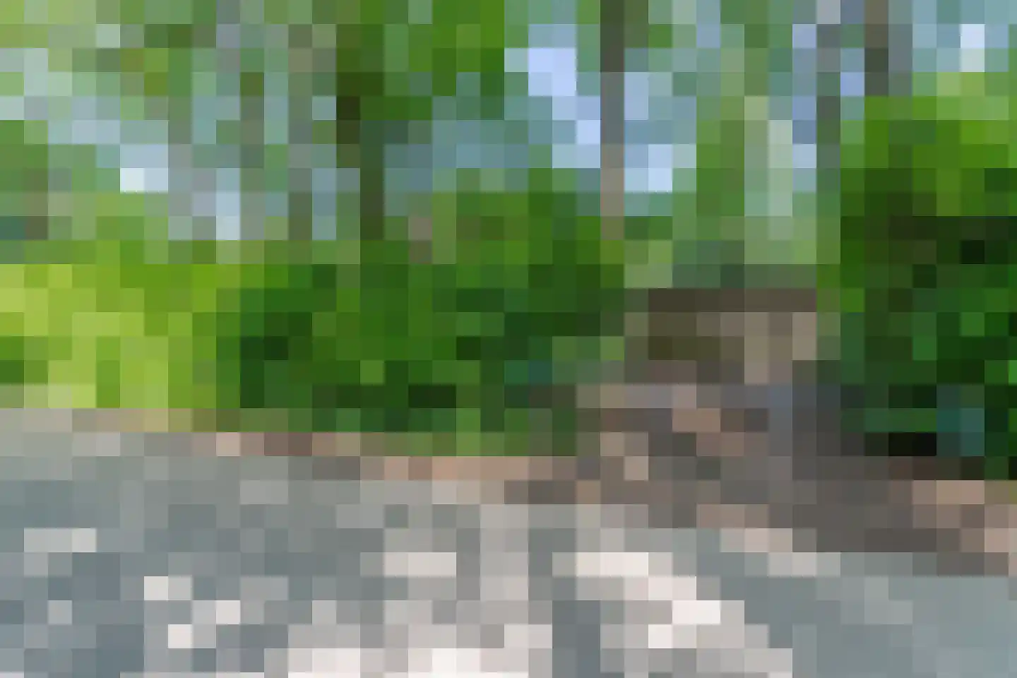 Erfsebosweg 15 Heijen thumbnail 35