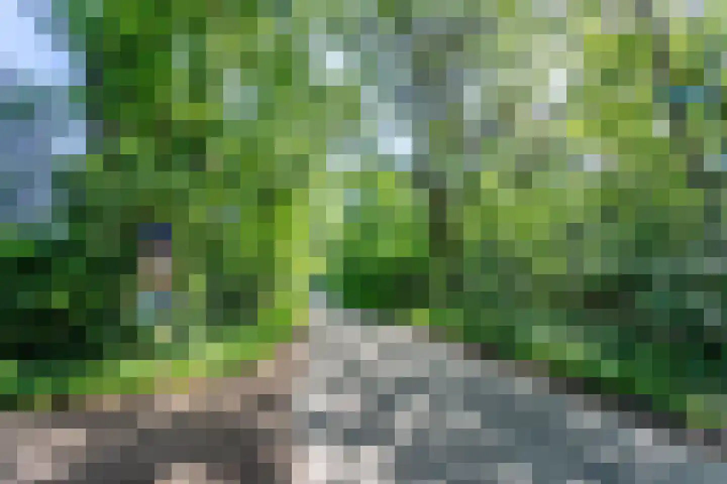 Erfsebosweg 15 Heijen thumbnail 36