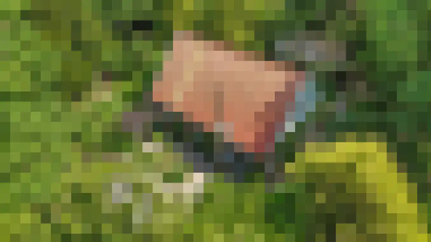 Erfsebosweg 15 Heijen thumbnail 39