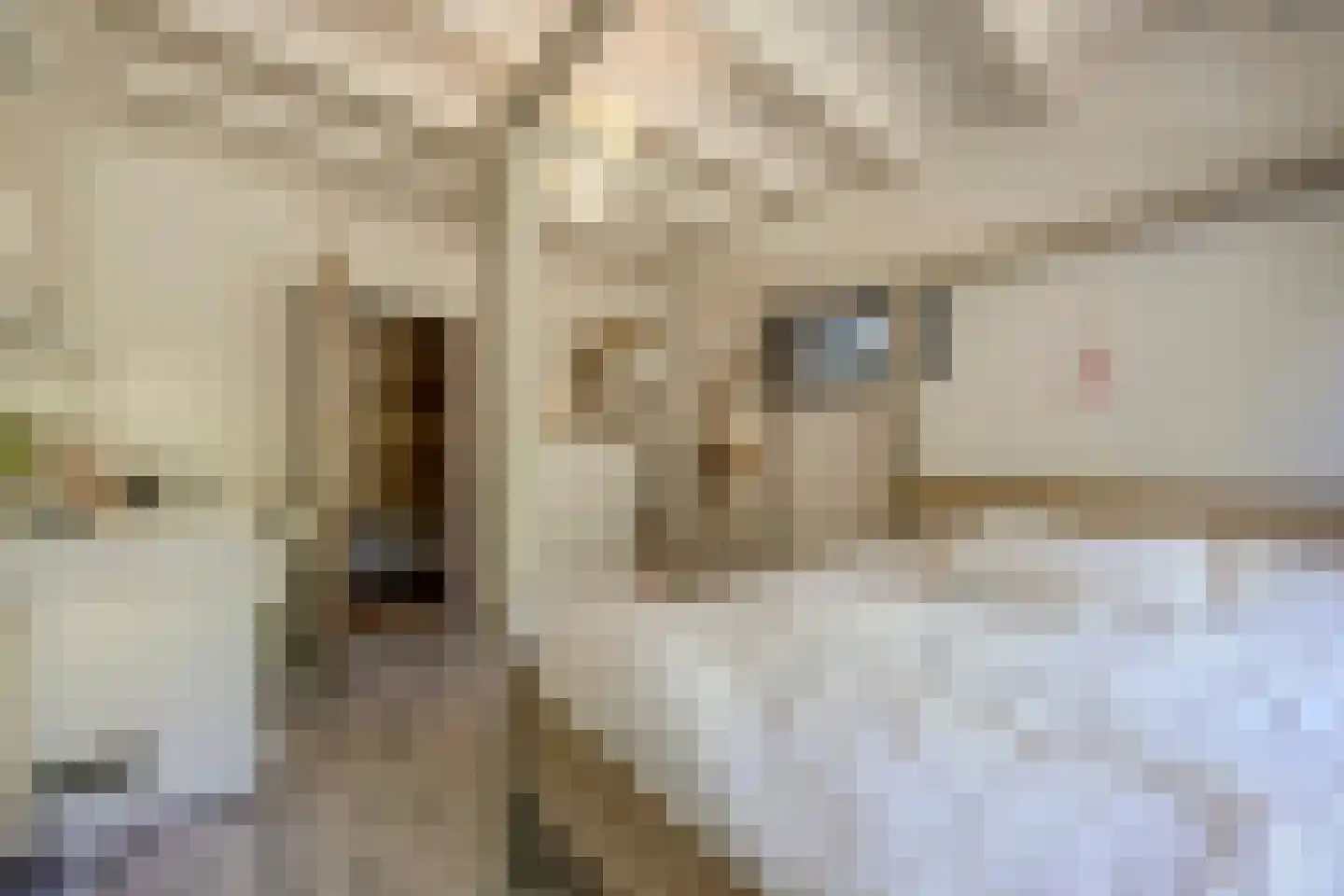 Erfsebosweg 73 Heijen thumbnail 14