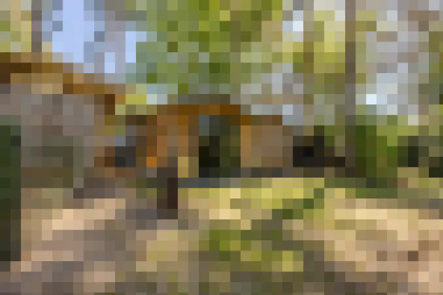 Erfsebosweg 73 Heijen thumbnail 20