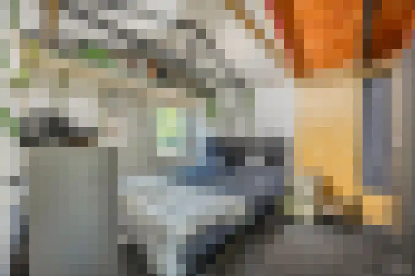 Erfsebosweg 73 Heijen thumbnail 21