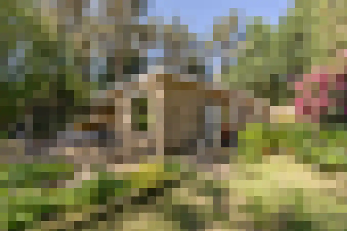 Erfsebosweg 73 Heijen thumbnail 23
