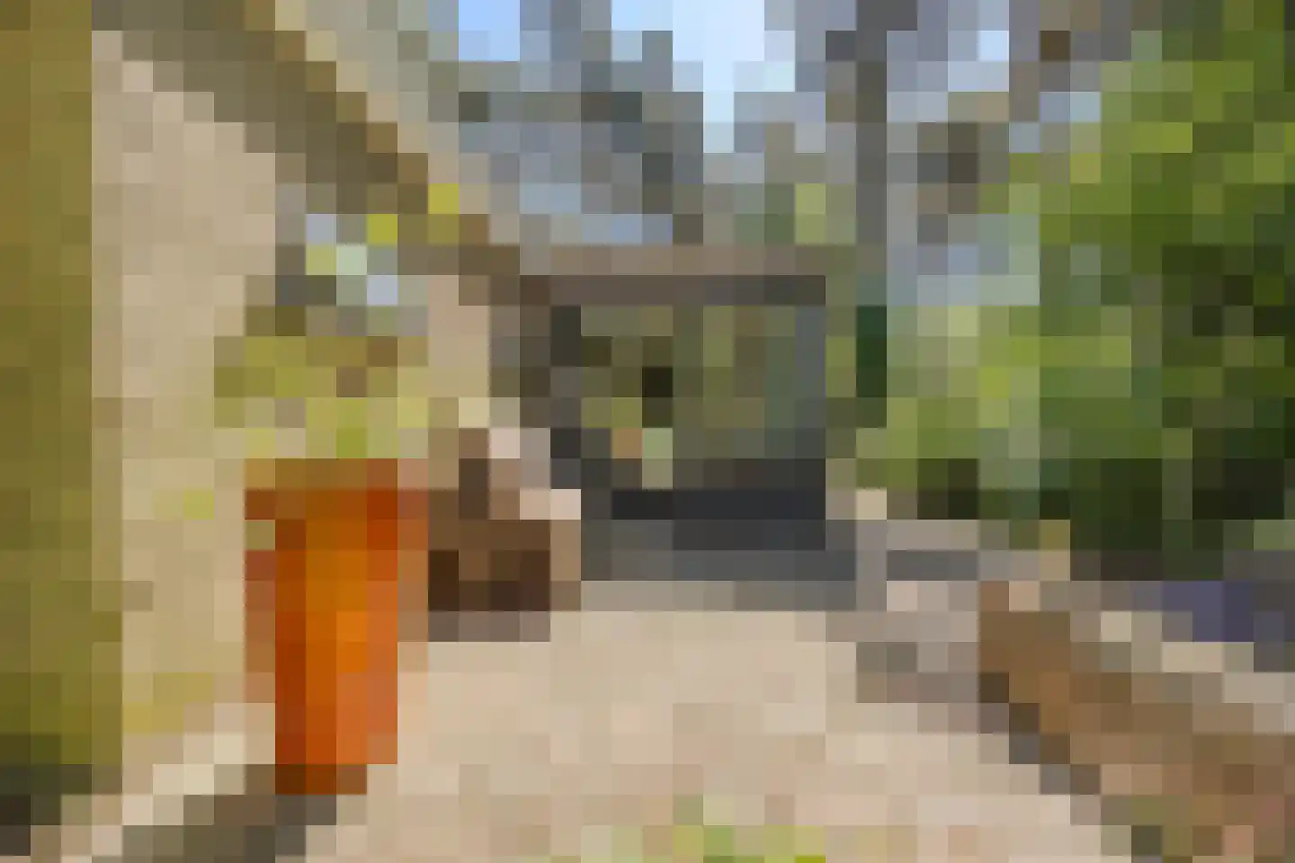 Erfsebosweg 73 Heijen thumbnail 24