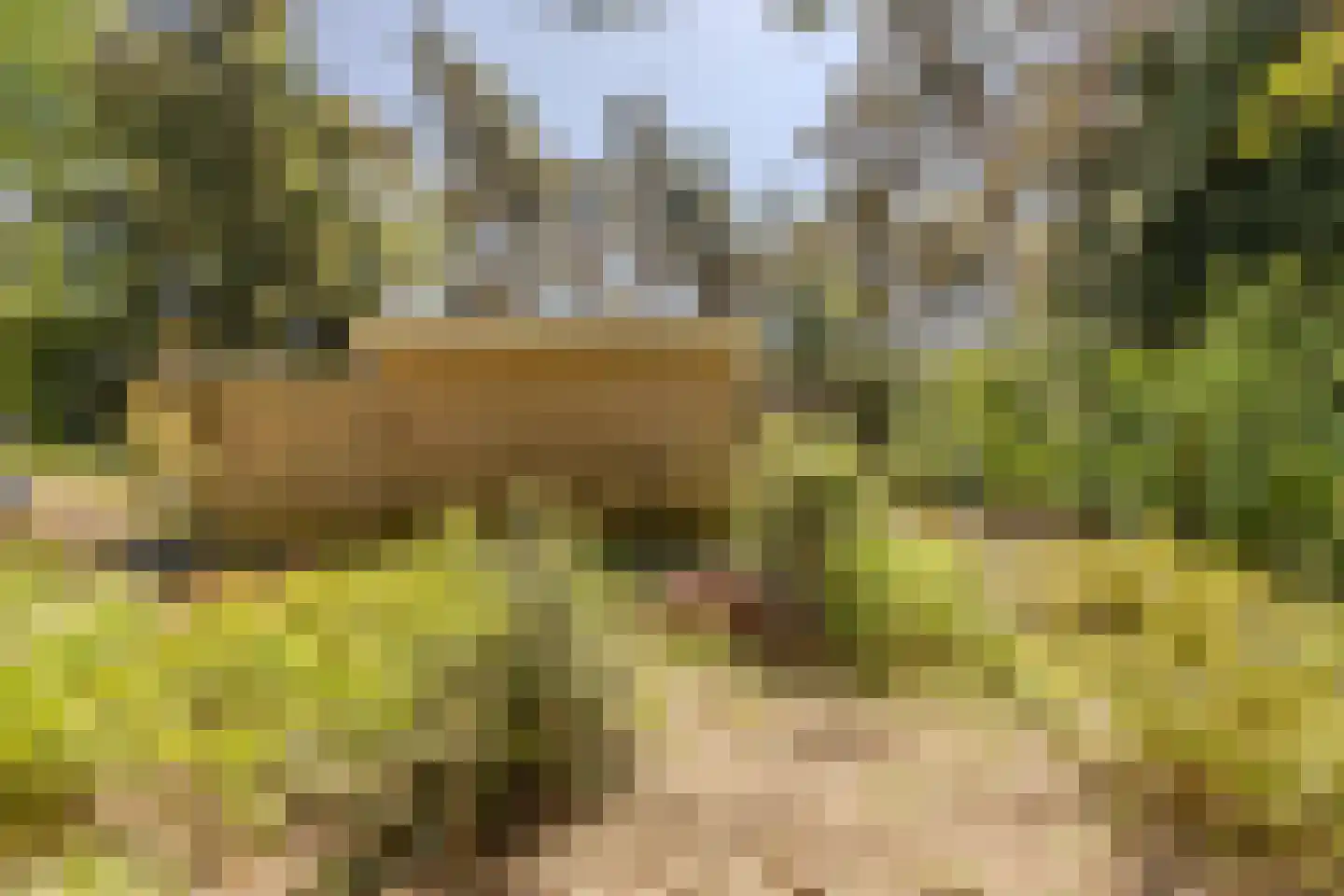 Erfsebosweg 73 Heijen thumbnail 25