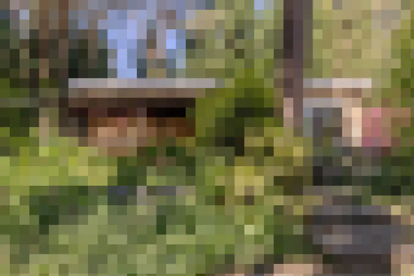Erfsebosweg 73 Heijen thumbnail 27