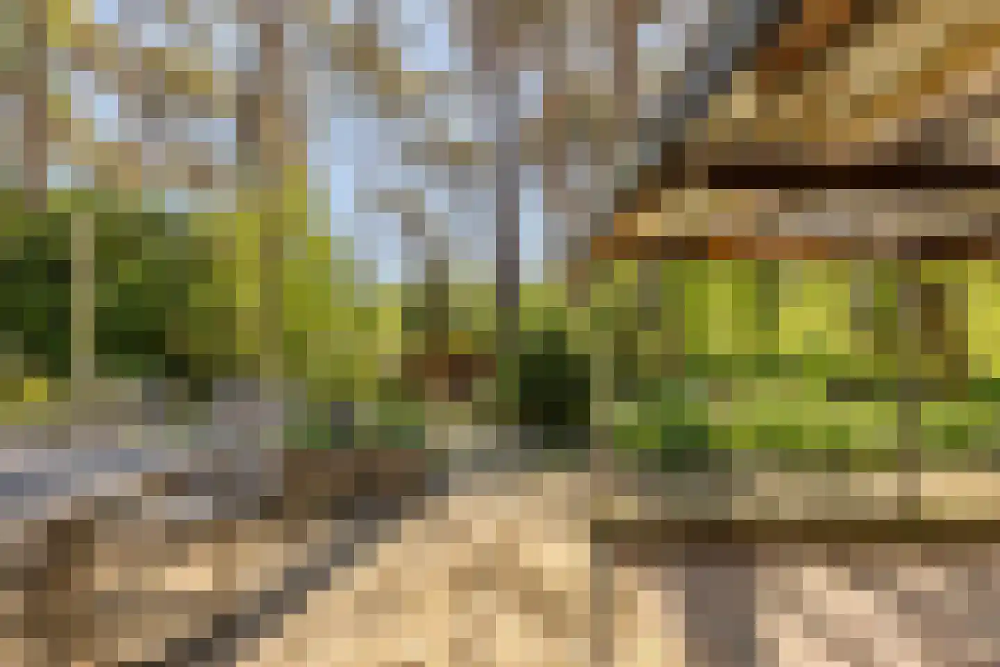 Erfsebosweg 73 Heijen thumbnail 28