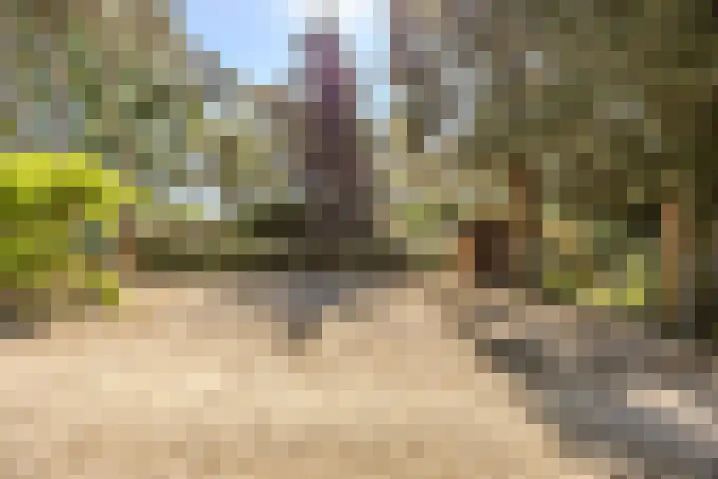 Erfsebosweg 73 Heijen thumbnail 31