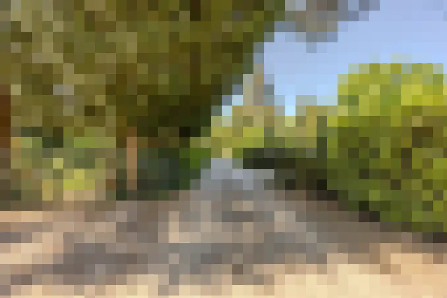 Erfsebosweg 73 Heijen thumbnail 32