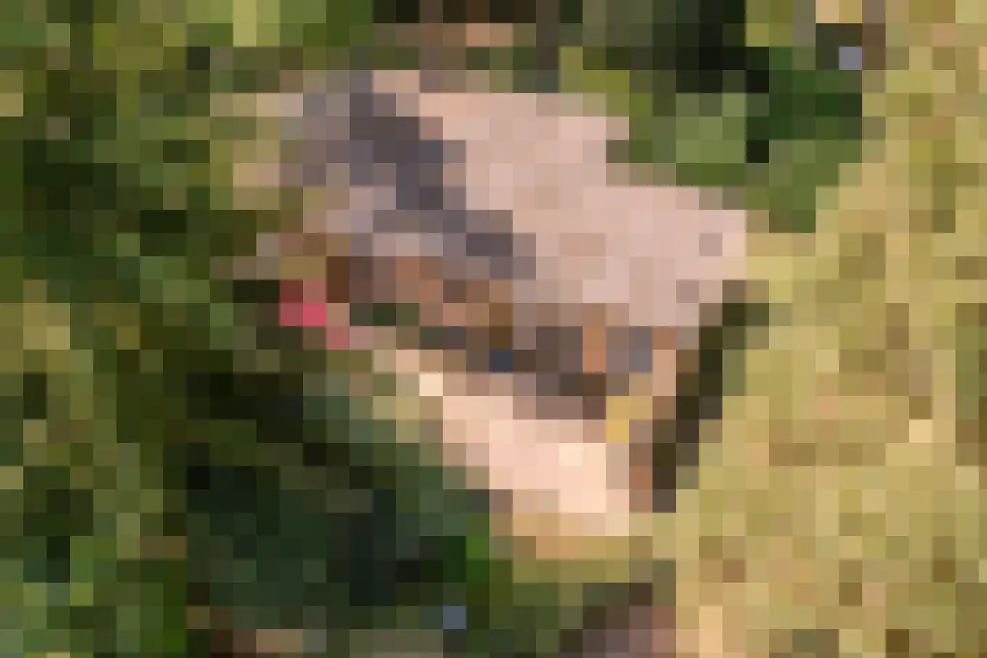 Erfsebosweg 73 Heijen thumbnail 33