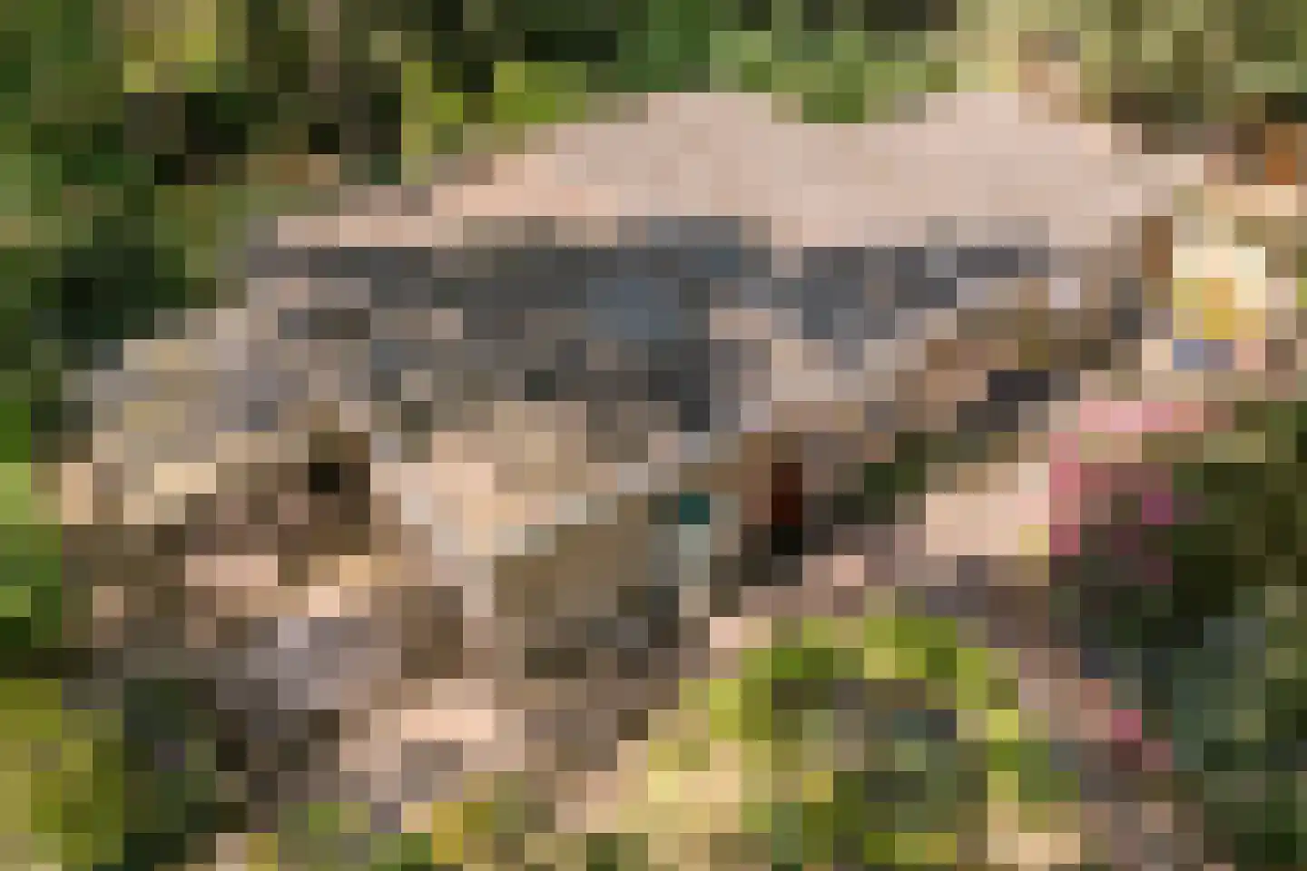 Erfsebosweg 73 Heijen thumbnail 34