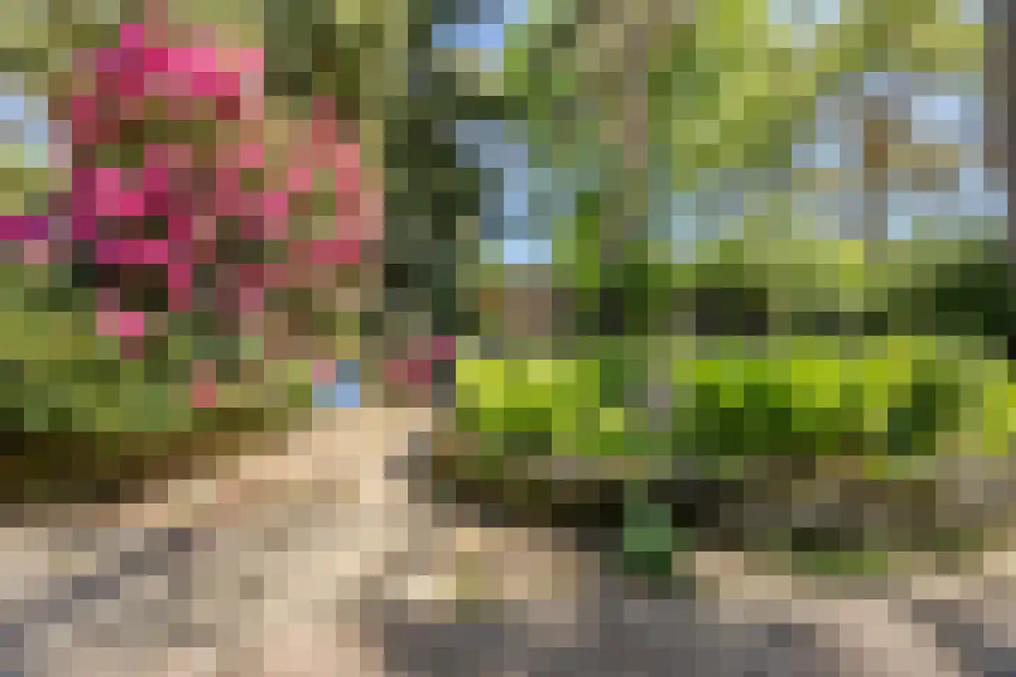 Erfsebosweg 73 Heijen thumbnail 4