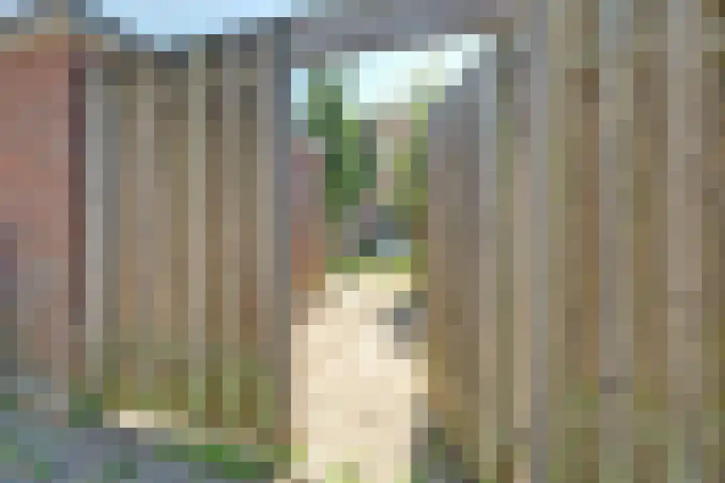 Erfstede 35 Nieuwegein thumbnail 18