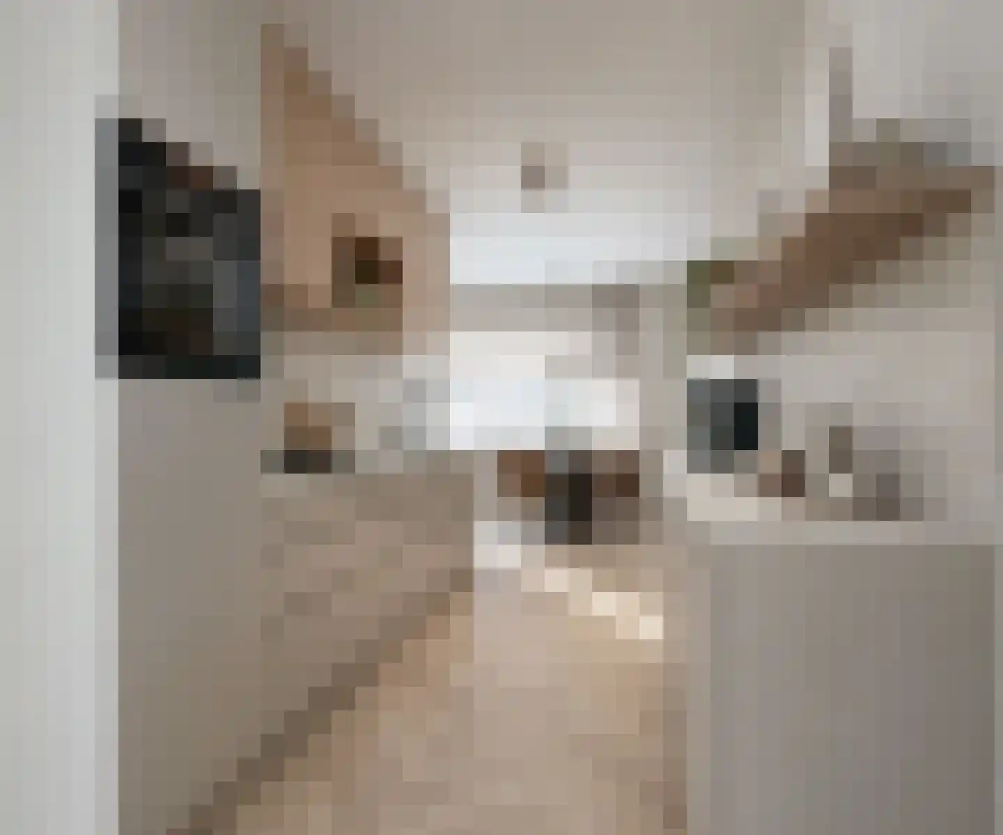 Erfstede 35 Nieuwegein thumbnail 8
