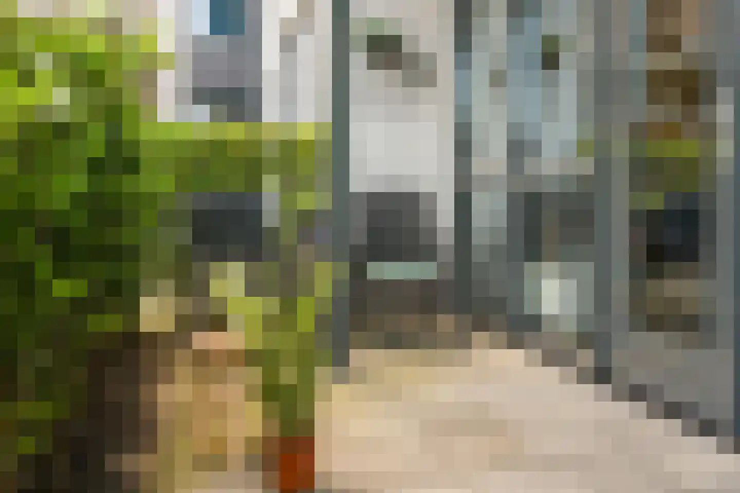 Erfstede 43 Nieuwegein thumbnail 4