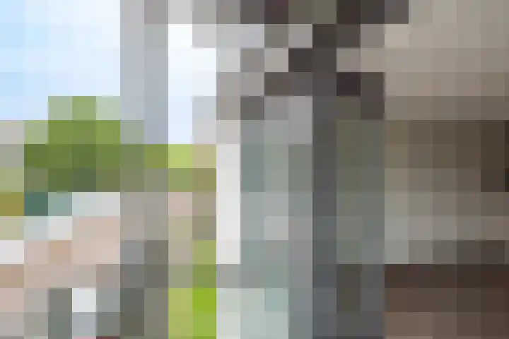 Erfstede 57 Nieuwegein thumbnail 10