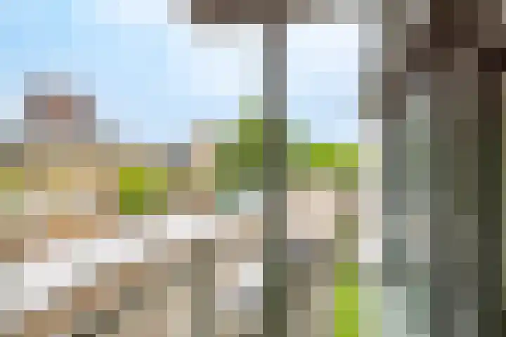 Erfstede 57 Nieuwegein thumbnail 11