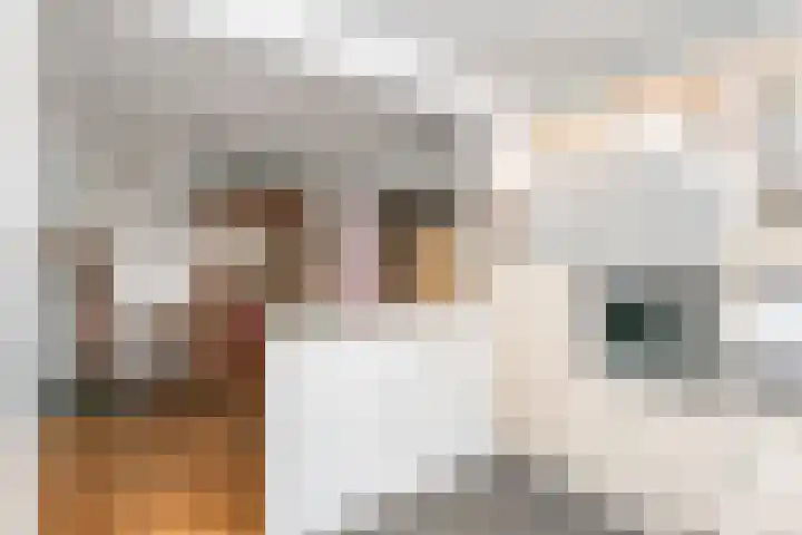 Erfstraat 20 Heerlen thumbnail 10