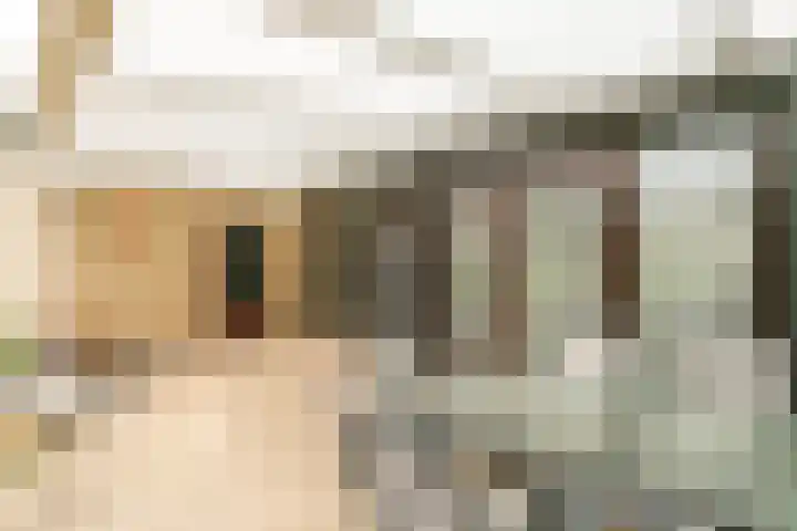 Erfstraat 20 Heerlen thumbnail 25