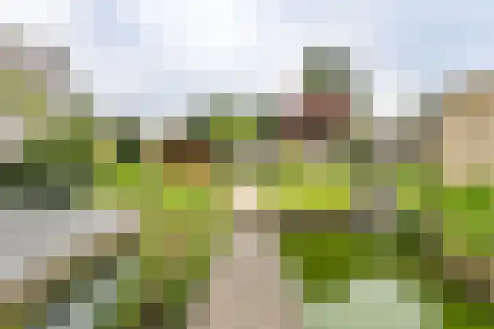 Erfstraat 20 Heerlen thumbnail 26