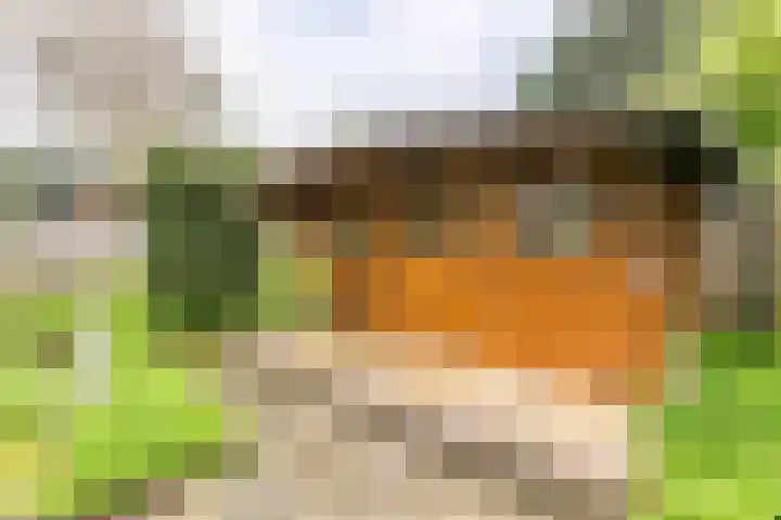 Erfstraat 20 Heerlen thumbnail 28