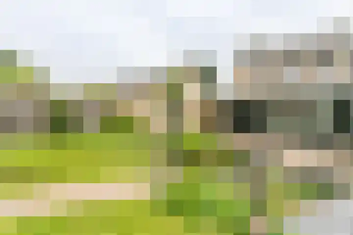 Erfstraat 20 Heerlen thumbnail 31