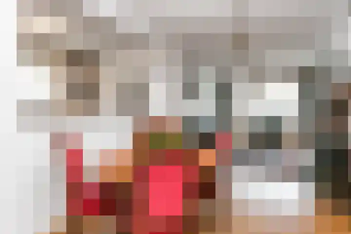 Erfstraat 20 Heerlen thumbnail 7