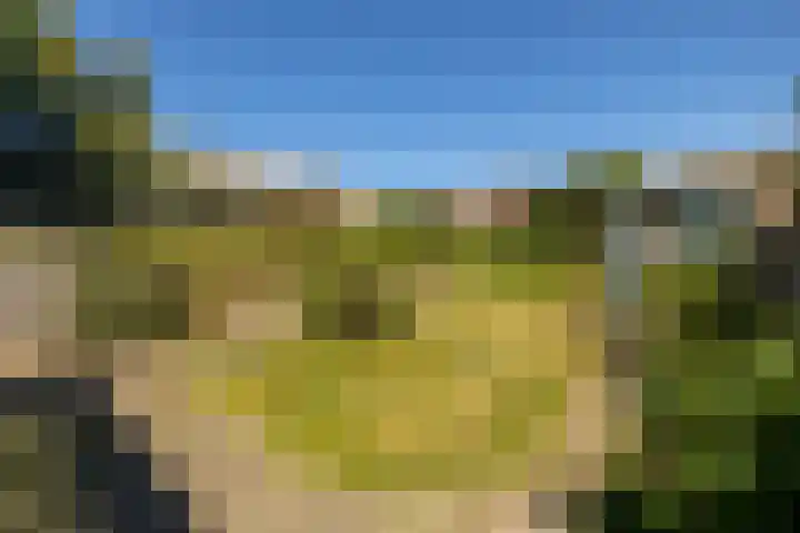 Erfvoort 38 Noordwijkerhout thumbnail 10