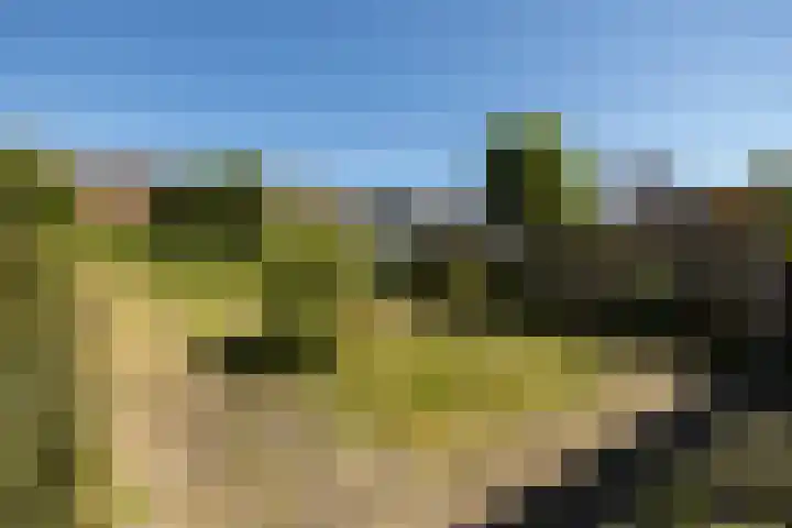 Erfvoort 38 Noordwijkerhout thumbnail 11