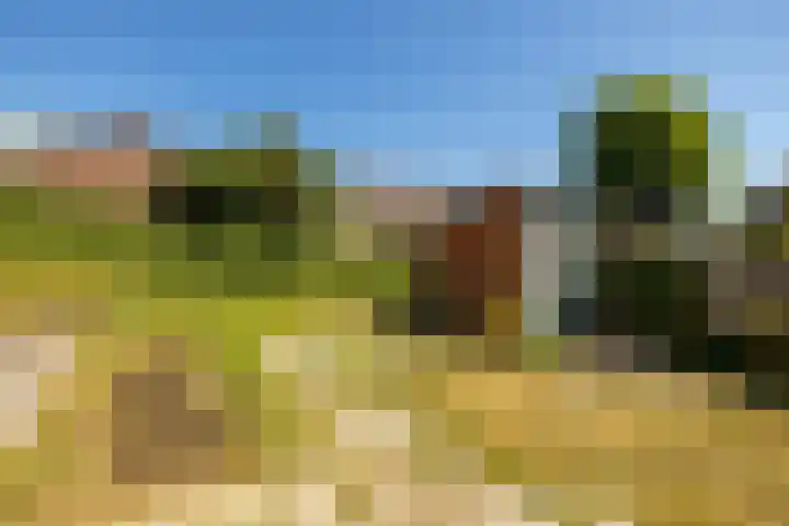 Erfvoort 38 Noordwijkerhout thumbnail 12